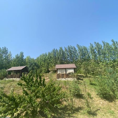Hotel Nirvana Dilijan Eksteriør billede