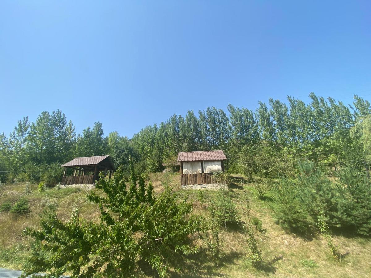 Hotel Nirvana Dilijan Eksteriør billede