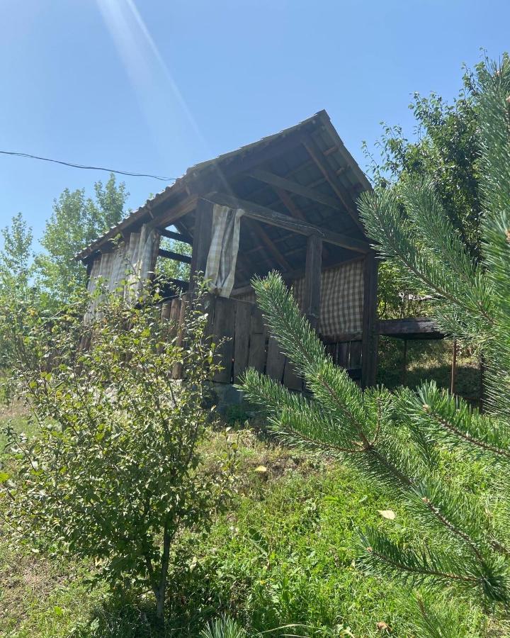 Hotel Nirvana Dilijan Eksteriør billede