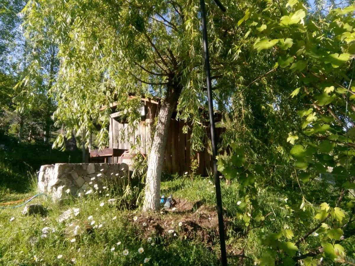 Hotel Nirvana Dilijan Eksteriør billede