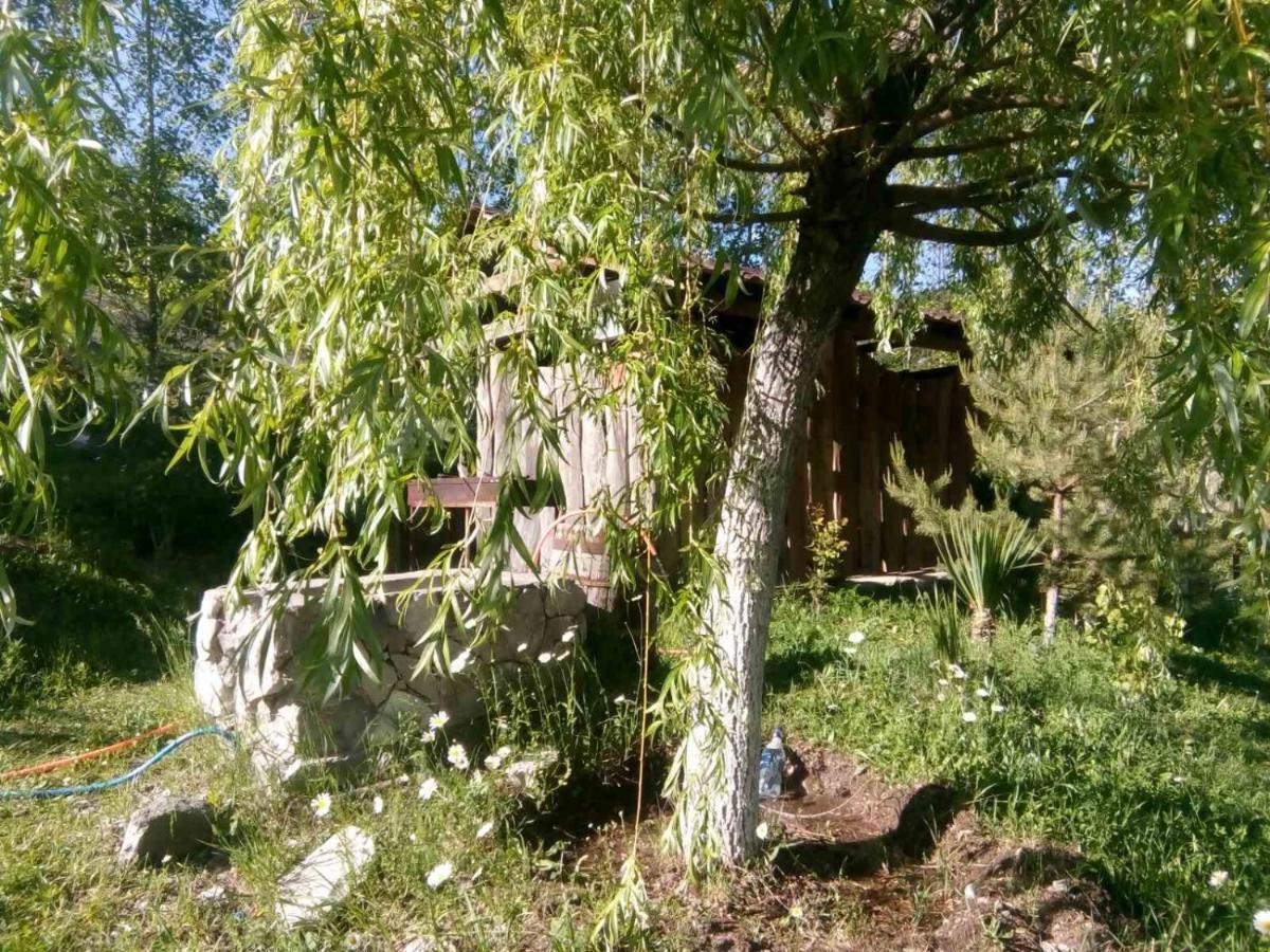 Hotel Nirvana Dilijan Eksteriør billede